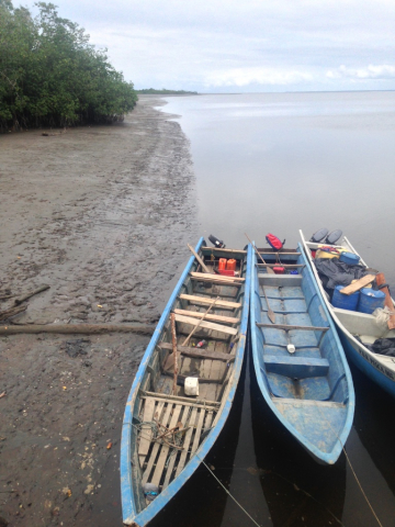 Using the Colombian Pacific coast as a case study area, this project develops a comprehensive assessment including: a) analyses of stock condition of main target species through novel methodological tools, b) evaluation of ecological indicators of the catch as proxies of potential ecosystem impacts of TSSF, and (c) the exploration of socio-economic drivers of fishing gear choices made by fishers. | Photo: Pilar Herrón, ZMT