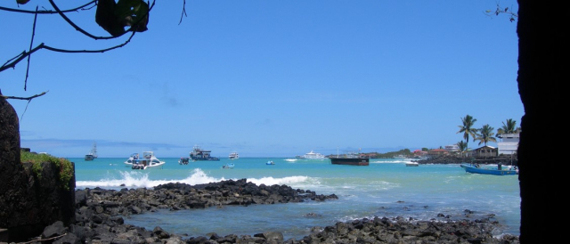 The project assesses the risk of decreases in marine ecosystem productivity as a tipping point for the interlinked ecological, economic and social systems of the Northern Humboldt Upwelling System (HUS). | Photo: Paul Tomkins, ZMT