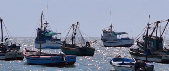 A group of small fishing boats with tall masts and nets float close together on calm, sunlit water. The sunlight creates a sparkling effect on the sea's surface. The boats are various colors, including blue, white, and green, and appear to be docked or anchored offshore. The sky is clear and pale blue.