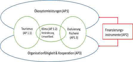 MIMAC Structure