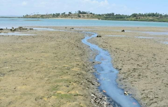 This study aims at examining the sources and quantifying fluxes of nutrients and their effects on phytoplankton community structure and occurrences of  harmful algal blooms (HABs). | Photo: Nancy Odour