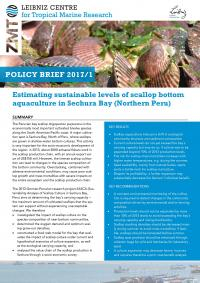 Cover Policy brief Kluger Peru ENG web