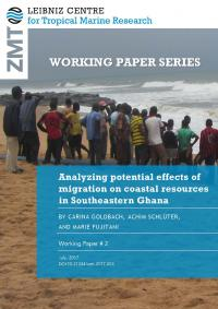 Cover Working Paper 2 Goldbach et al