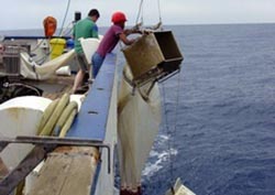 Fischerboot auf dem Wasser