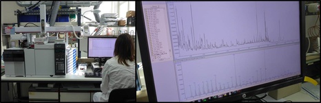 (Pyrolyse-)Gaschromatographie/Massenspektrometrie für die Analyse von organischem Material in Pflanzen und Sedimenten (Kontakt: M. Zimmer; R. Himmelsbach)