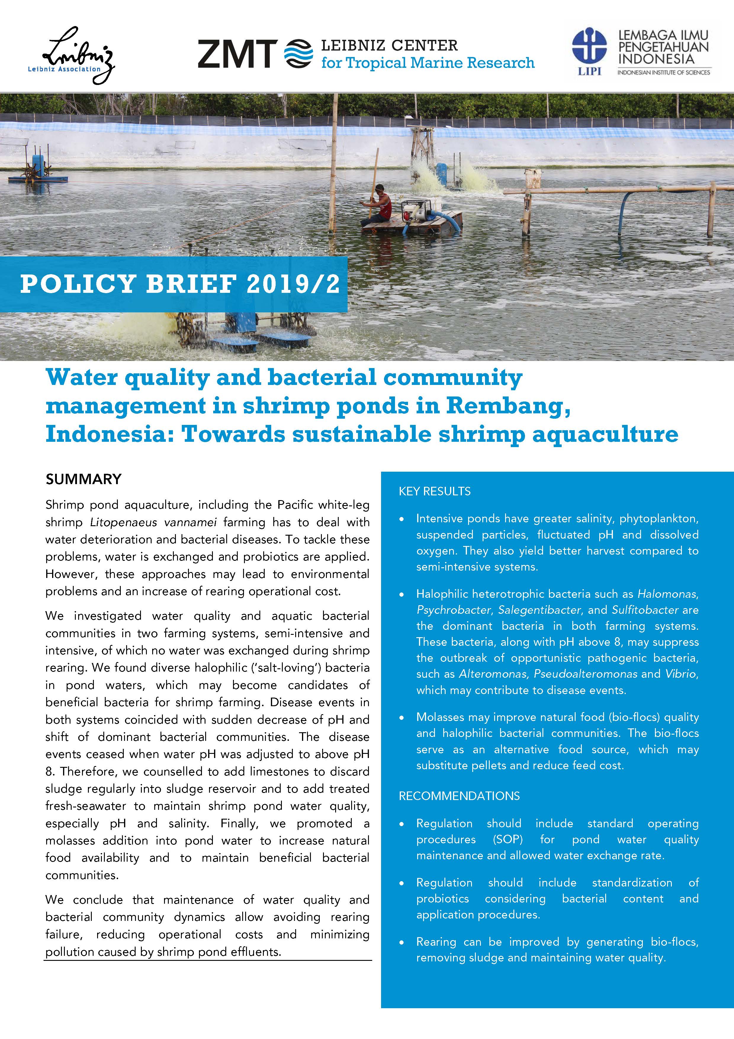 Policy Brief Indonesia 2019 02 final Page 1