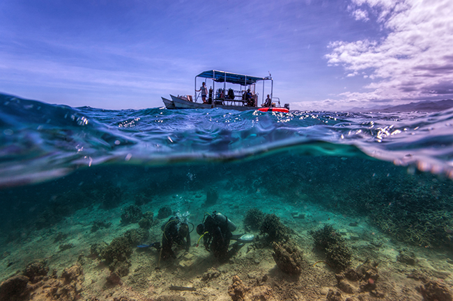 Scientific Divers from ZMT install growth plates in Fiji | Photo: Andy Eich