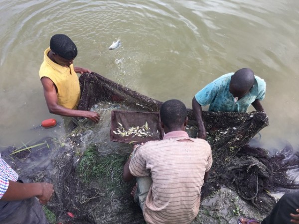 Ministry of Agriculture  Irrigation and Water Development  Department of Fisheries  Mzuzu Ministry of Agriculture  Irrigation and Water Development  Department of Fisheries  Mzuzu
