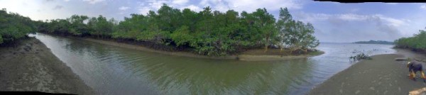 Blog8 0802 Blog8 0802