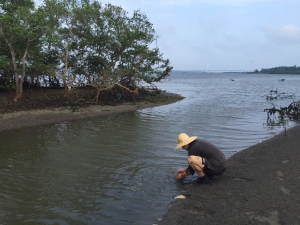 Blog8 0803 Blog8 0803