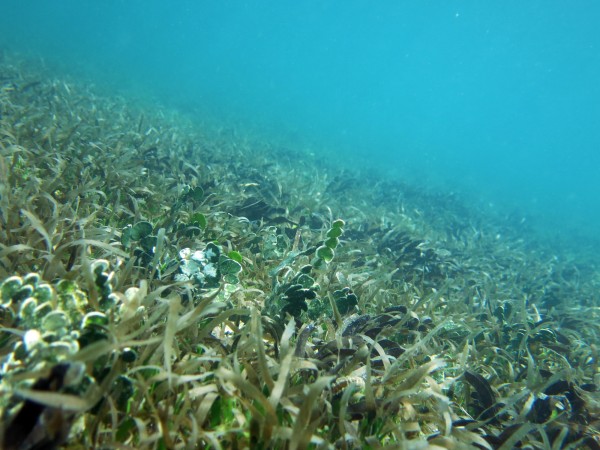 Pic1 IGV korr Pic1 IGV korr