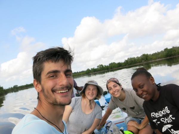 mangroves 2 mangroves 2