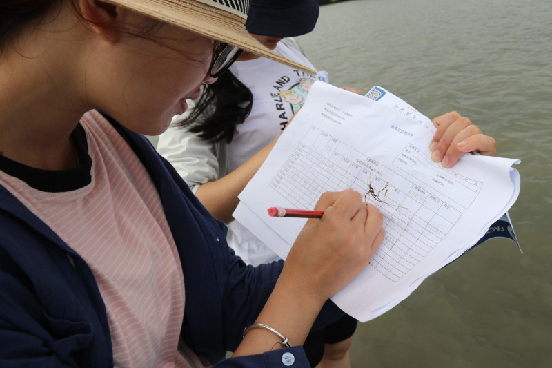 Volunteer noting the monitoring parameters | Photo: Photo: Chunxia Jiang, Hainan University