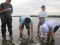 Laying the tape to mark out a transect | Photo: Chunxia Jiang, Hainan University