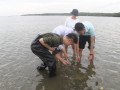 Estimating seagrass species composition | Photo: Chunxia Jiang, Hainan University