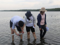 Describing the sediment composition | Photo: Chunxia Jiang, Hainan University