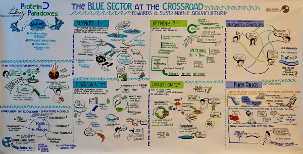Workshop ZMT IGB Blue Sector at Crossroad Aquaculture  3  Workshop ZMT IGB Blue Sector at Crossroad Aquaculture  3