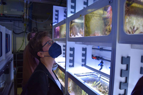 9 Besuch Senatorin Schilling am Leibniz Zentrum fuer Marine Tropenforschung ZMT 28072022 web 9 Besuch Senatorin Schilling am Leibniz Zentrum fuer Marine Tropenforschung ZMT 28072022 web