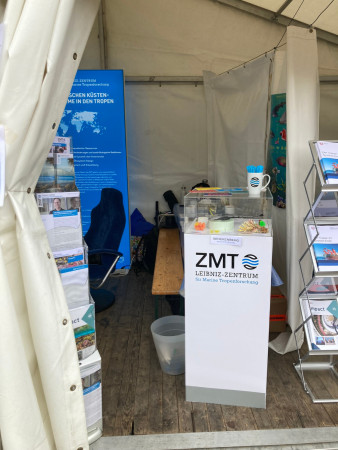 Forschungsmeile 2022  2  Forschungsmeile 2022  2