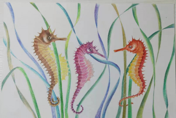 Seagrass and seahorses Ping Chen Seagrass and seahorses Ping Chen