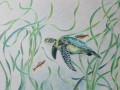 Seagrass and turtles Ping Chen