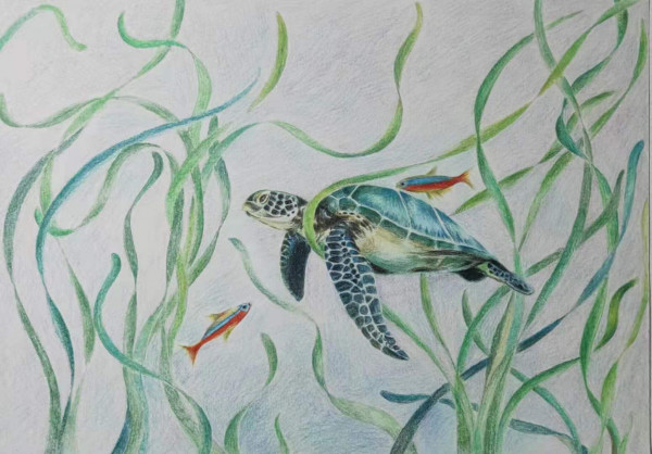 Seagrass and turtles Ping Chen Seagrass and turtles Ping Chen
