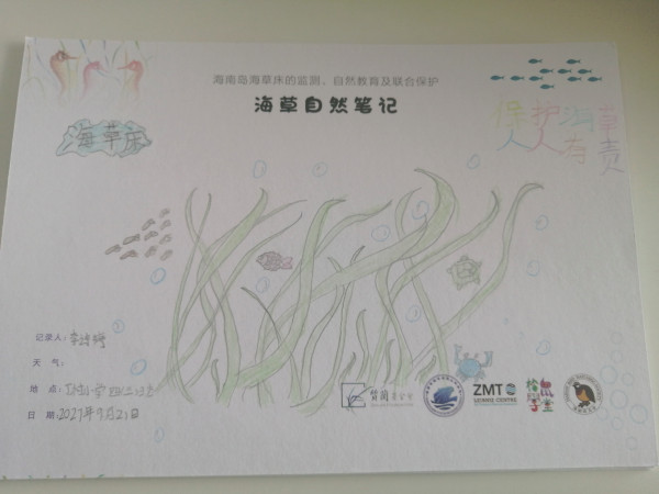 Seagrass drawing from students in Dingcun Primary school Squirrel School 2 Seagrass drawing from students in Dingcun Primary school Squirrel School 2