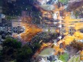 Cape Stumpnose Rockpool