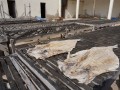 Dried salted fish near the landing site of Yoff  Dakar  Senegal