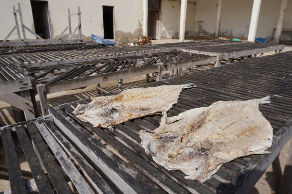 Dried salted fish near the landing site of Yoff  Dakar  Senegal