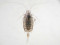 Candacia, ein Copepode