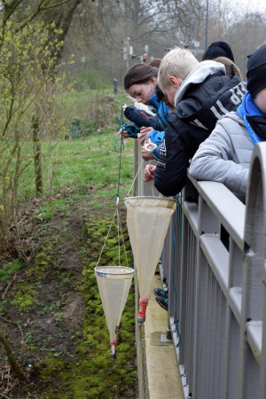 Die Planktonnetzte werden eifrig zu Wasser gelassen.