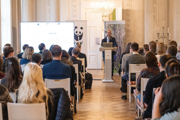 mangrove future day2024 mangrove future day2024