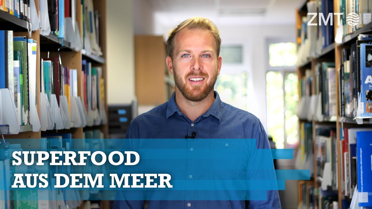 Youtube Preview - Video ID EJb0lkAWhmg