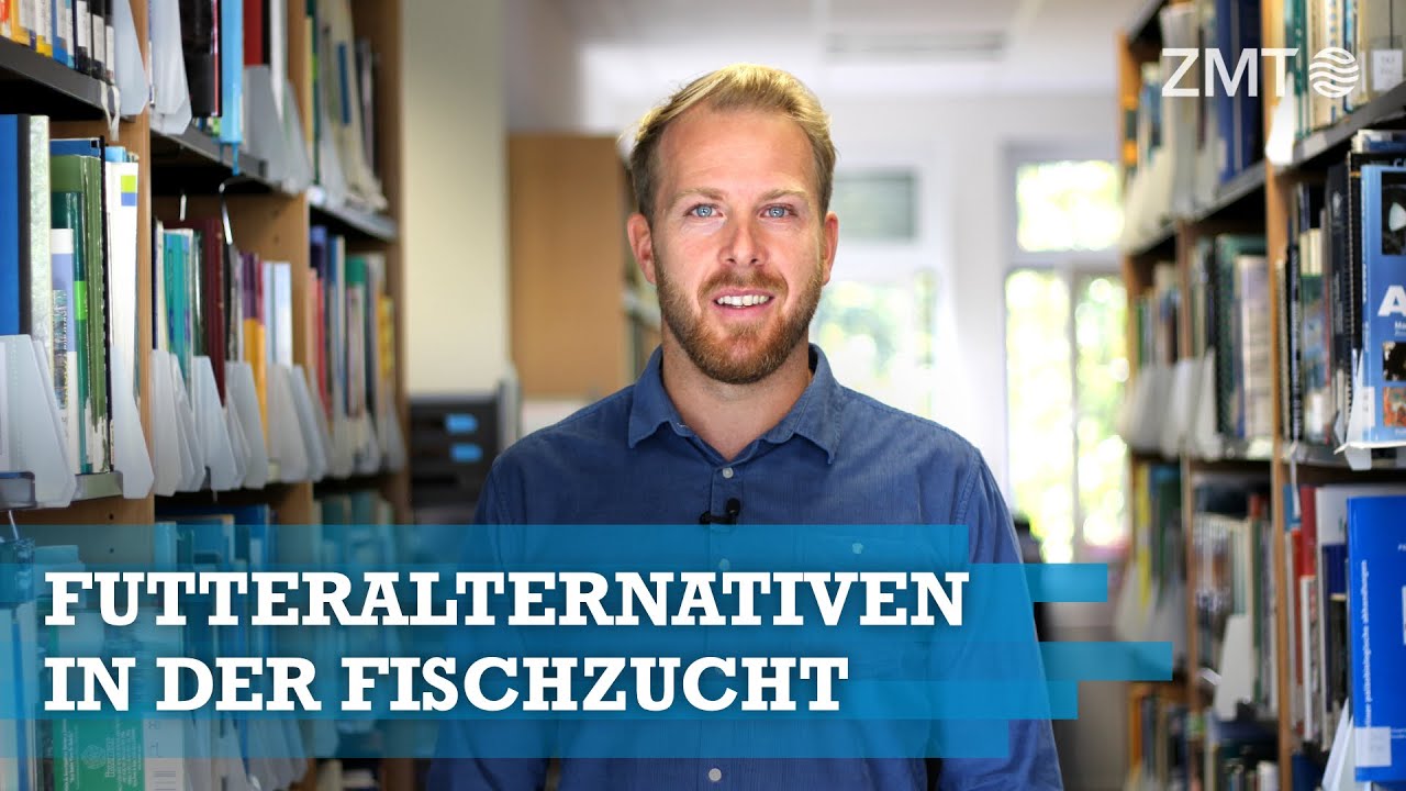 Youtube Preview - Video ID XN8Ioron-7w