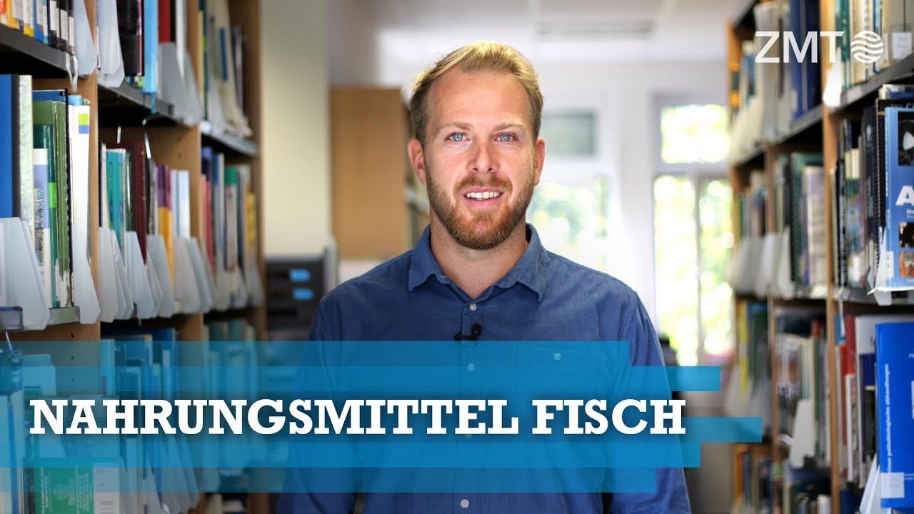 Youtube Preview - Video ID auQD15G6bj0