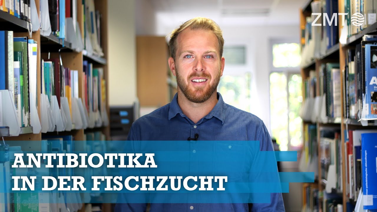 Youtube Preview - Video ID bIYq5Bwh4_w