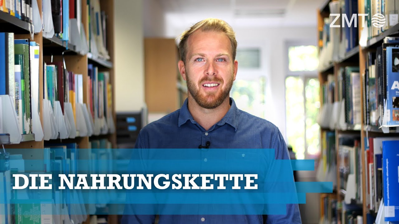 Youtube Preview - Video ID hnphDvdxw9c