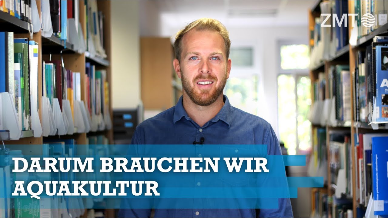 Youtube Preview - Video ID mgfaKKrWXfE