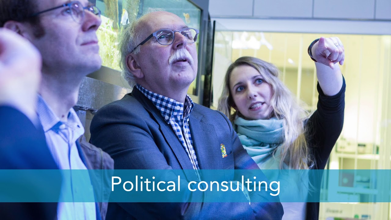 Youtube Vorschau - Video ID mvzNr3UBQLg