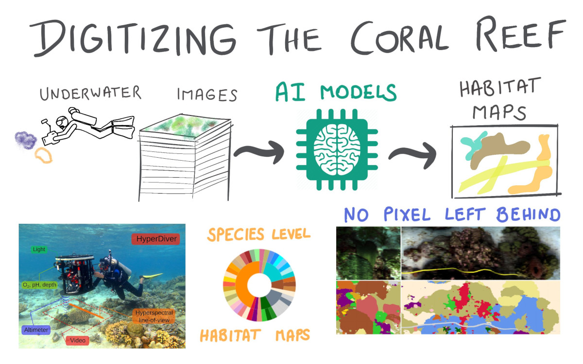 Digitizing the coral reef