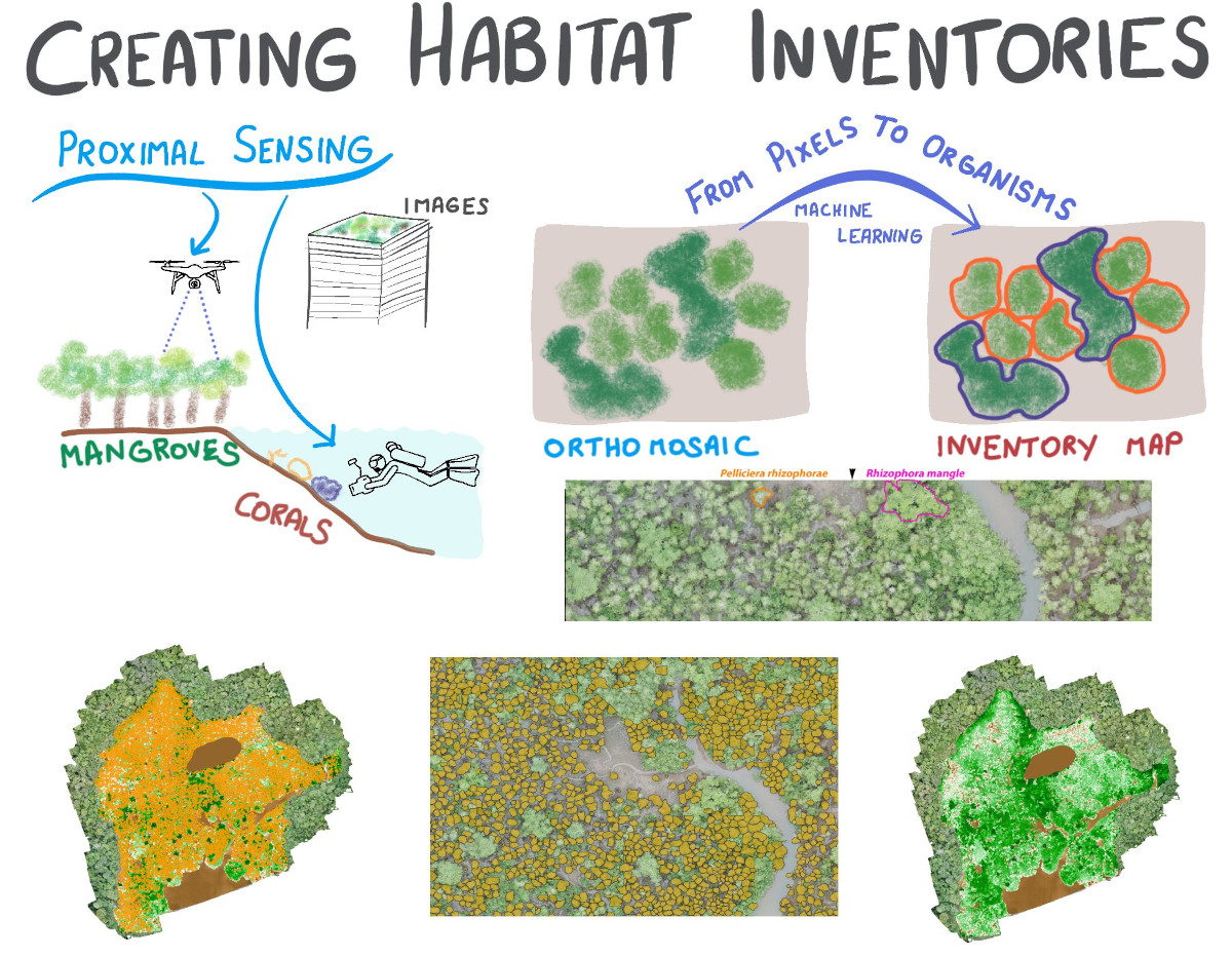 Creating inventories of habitats: from pixels to organisms