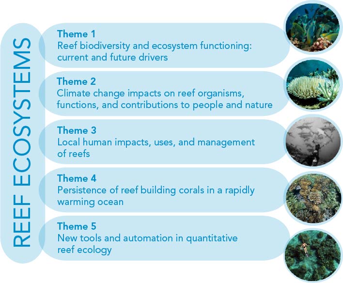 NewReefSystemsFig