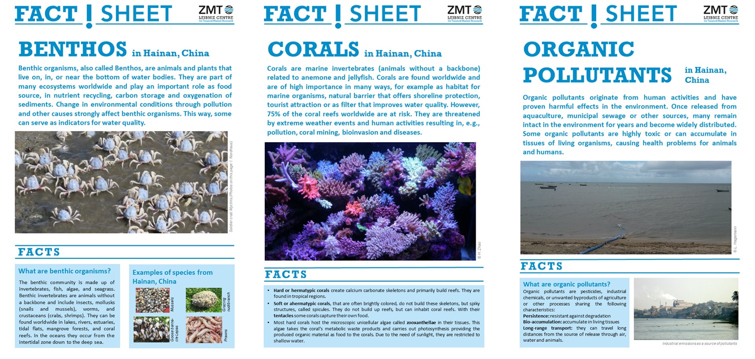FactSheet Slider Website1