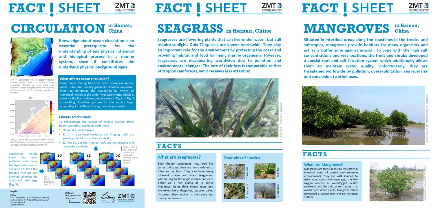 FactSheet Slider Website2