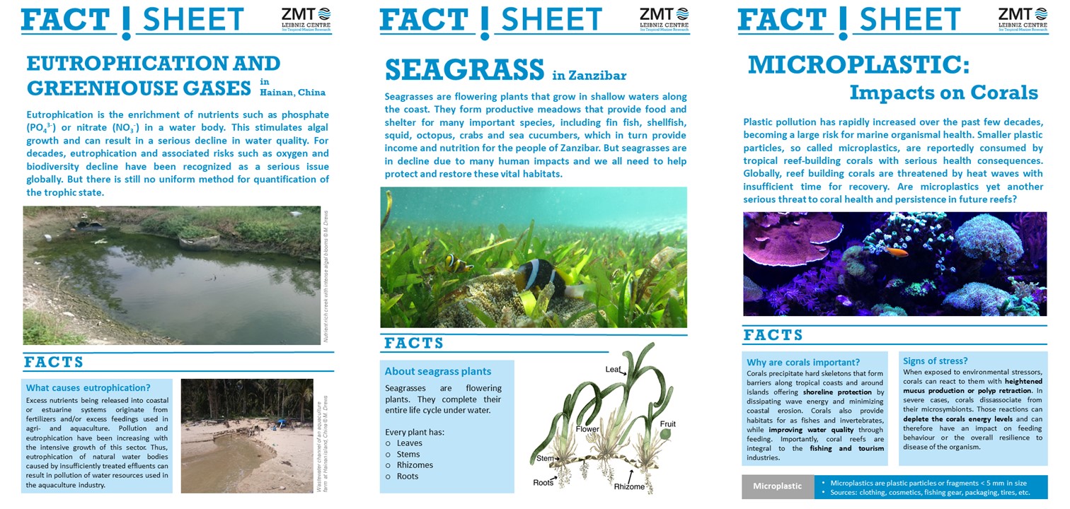 FactSheet Slider Website 3