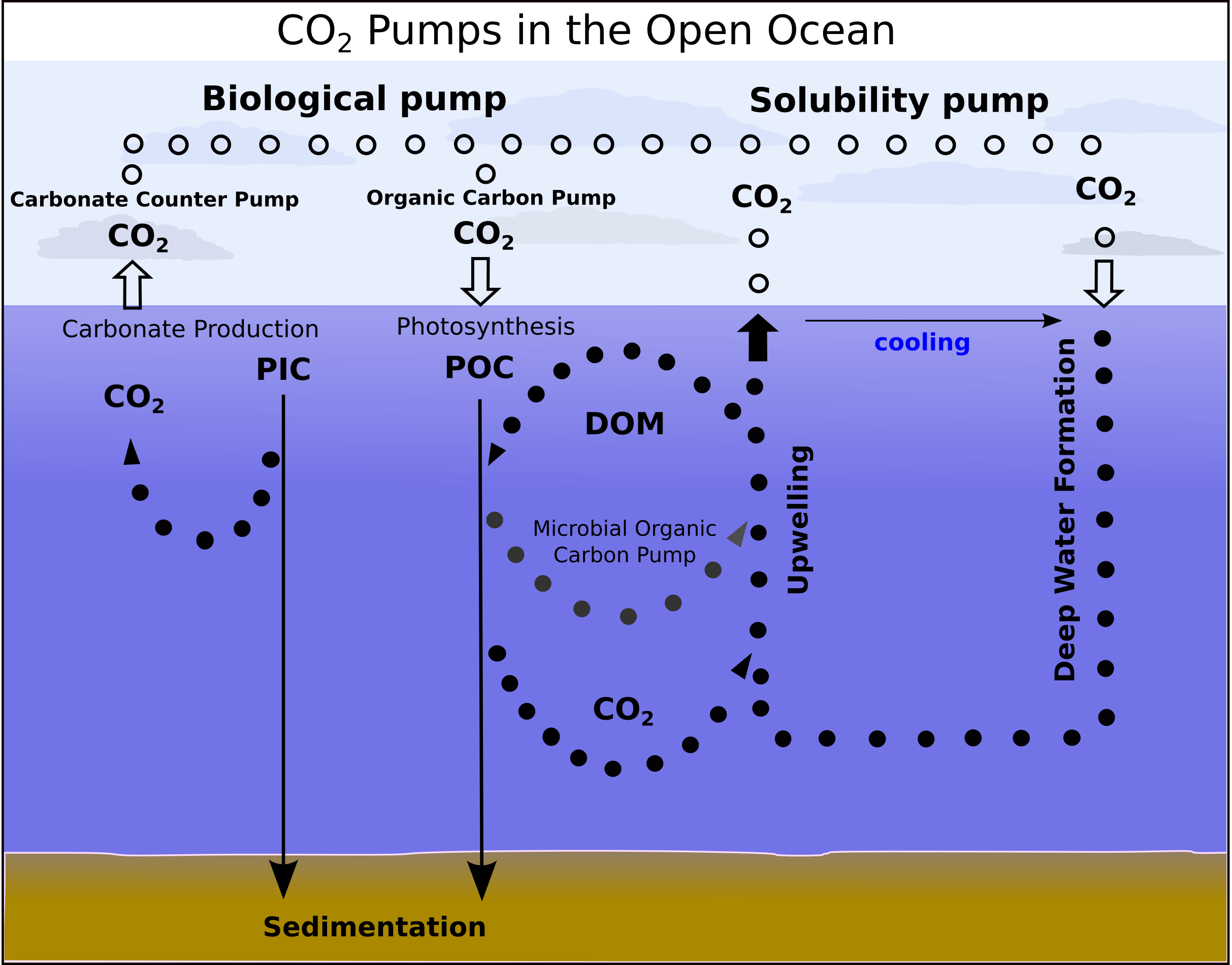 Open ocean pumps3