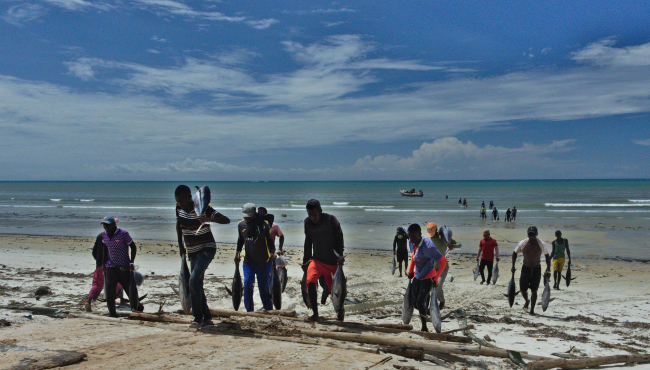 This partnership project implemented by ZMT in cooperation with the Institute of Marine Sciences at the University of Dar es Salam (IMS) aims to support the use of new and innovative digital technologies for policy-making in marine resource management in Eastern Africa. | Photo: Hauke Reuter