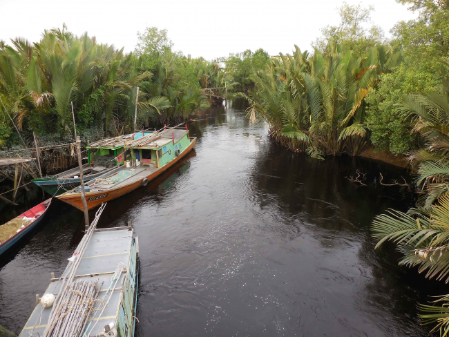 Sampling campaign on the tropical peat river Maludam in Malaysia. The typical dark water colour indicates a high content of dissolved carbon, which is why peat rivers are also called blackwater rivers | Photo: Alexandra Klemme / Universität Bremen