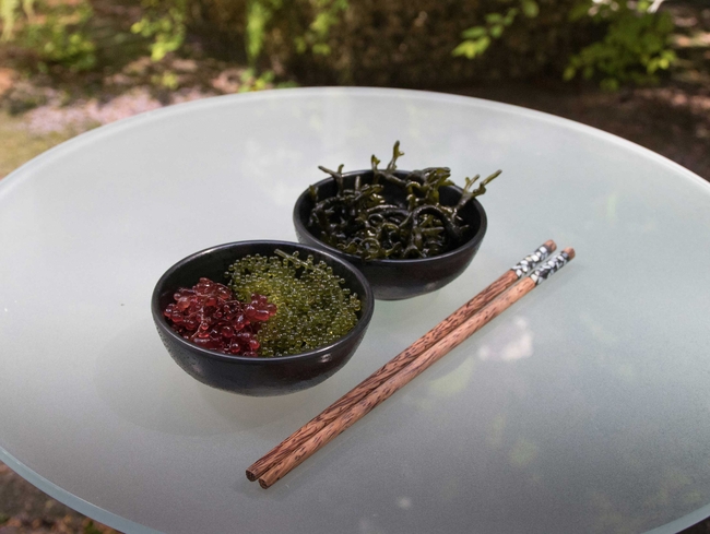 Two black bowls with different types of edible seaweed are placed on a round glass table outdoors. The front bowl contains green sea grapesand red seaweed. The back bowl holds dark green, branched seaweed. To the right, a pair of brown, wood-grain chopsticks with decorative ends rests on the table.